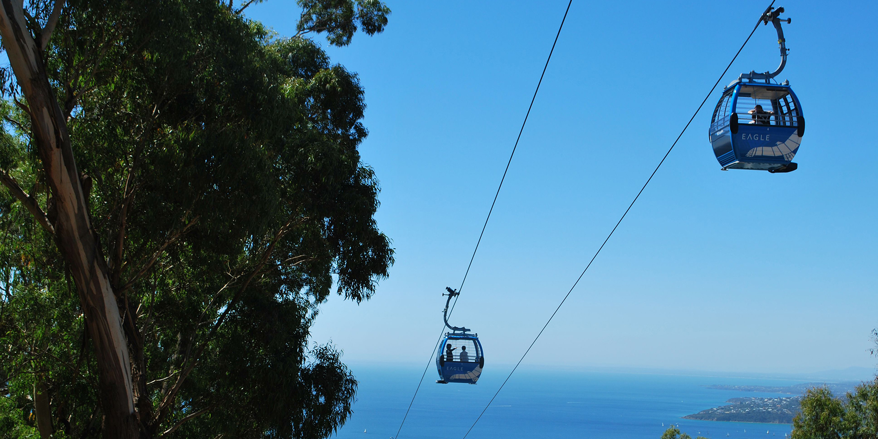 Buckle up for a day of family fun, Arthurs Seat Eagle