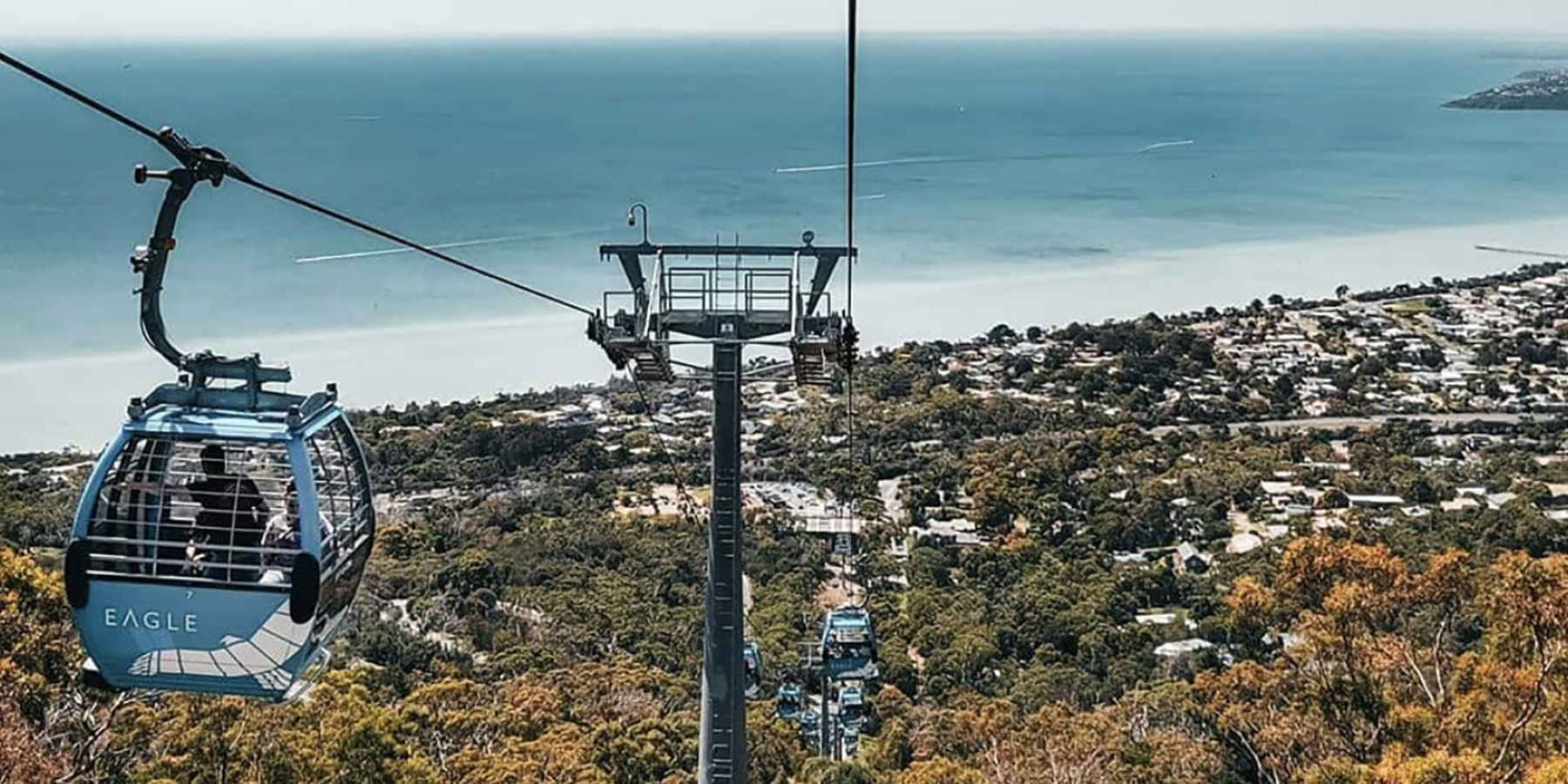 Arthurs Seat Eagle, Arthurs Seat, Mornington Peninsula