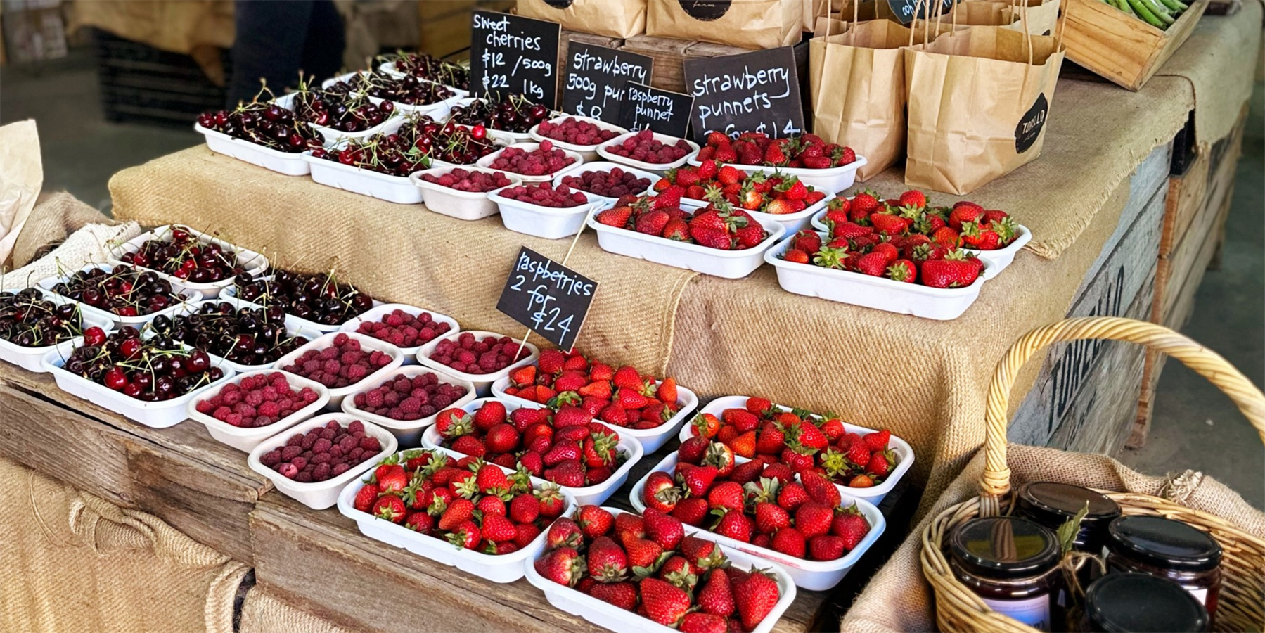 torello farm, produce, summer