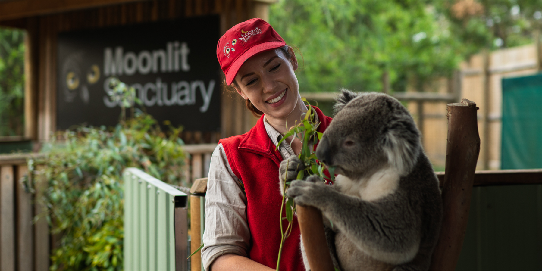 moonlit sanctuary, animals, mornington peninsula