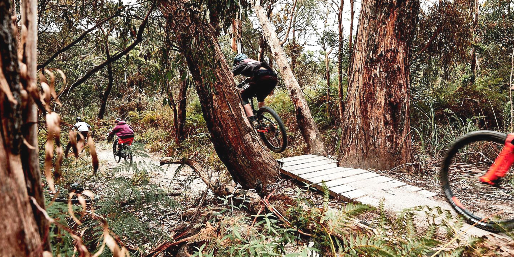 red hill trail co, bike riding, tours, mornington peninsula, summer