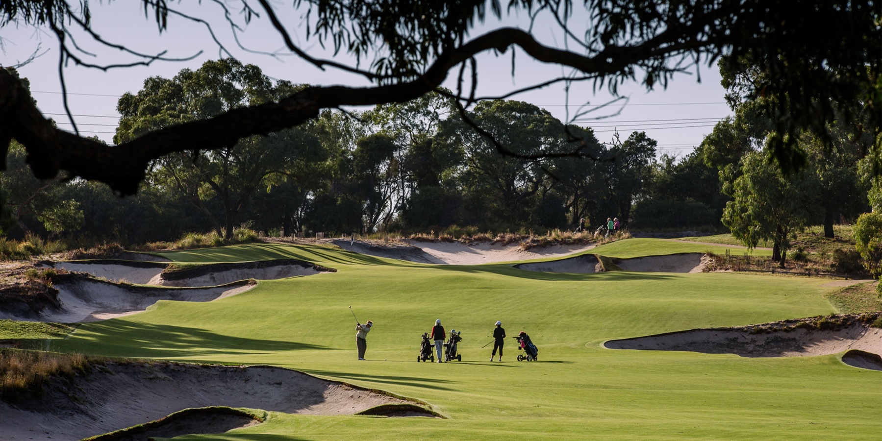 Peninsula Kingswood Country Club Golf Course Players