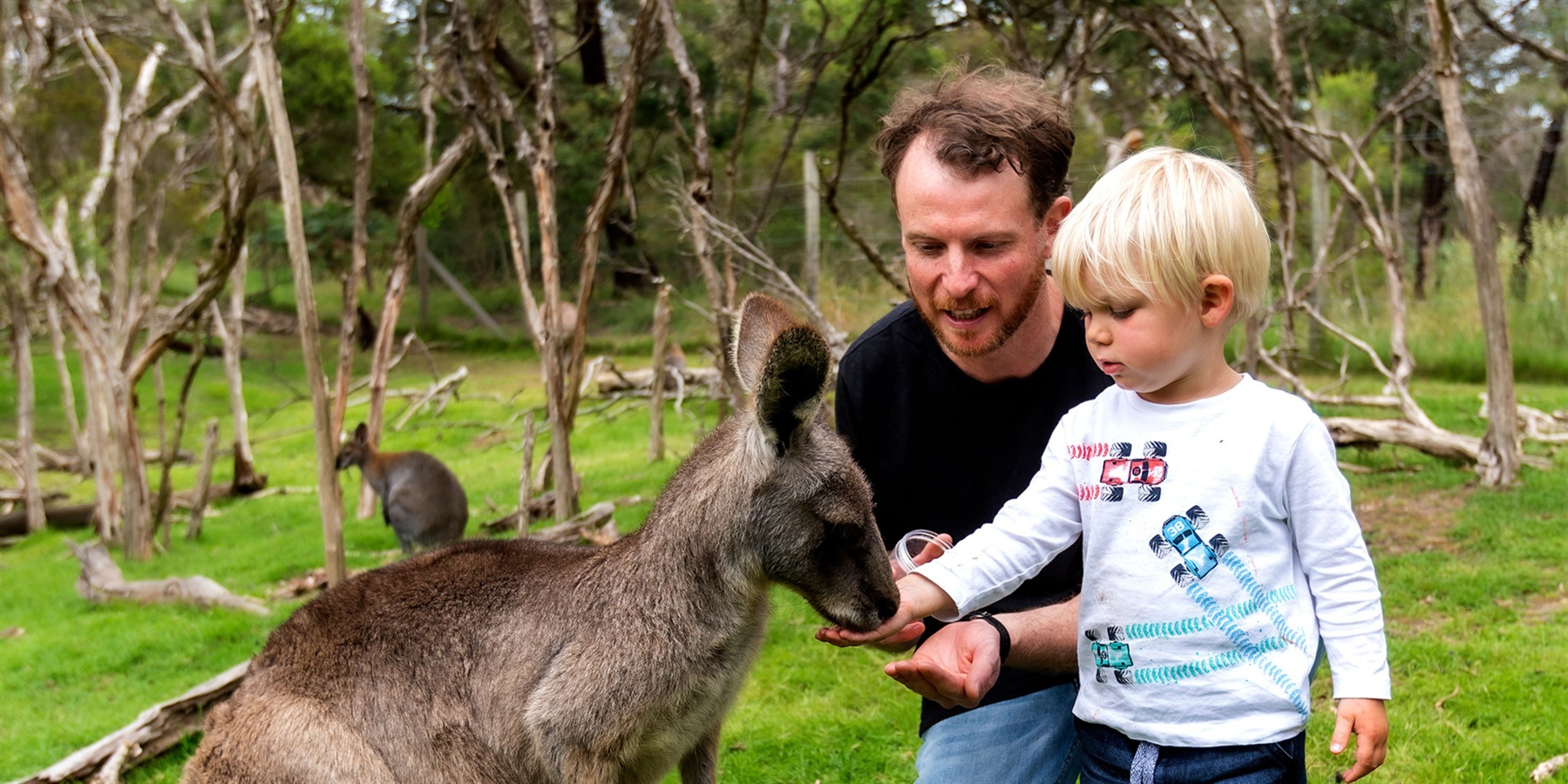 Moonlit with a wallaby and dad and son