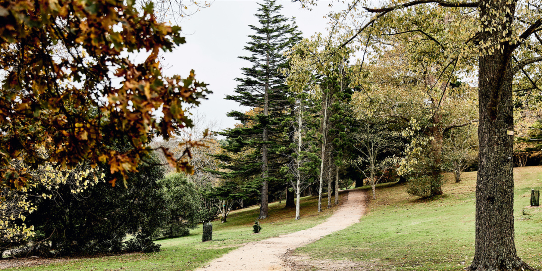 Seawinds Garden Arthurs Seat Mornington Peninsula