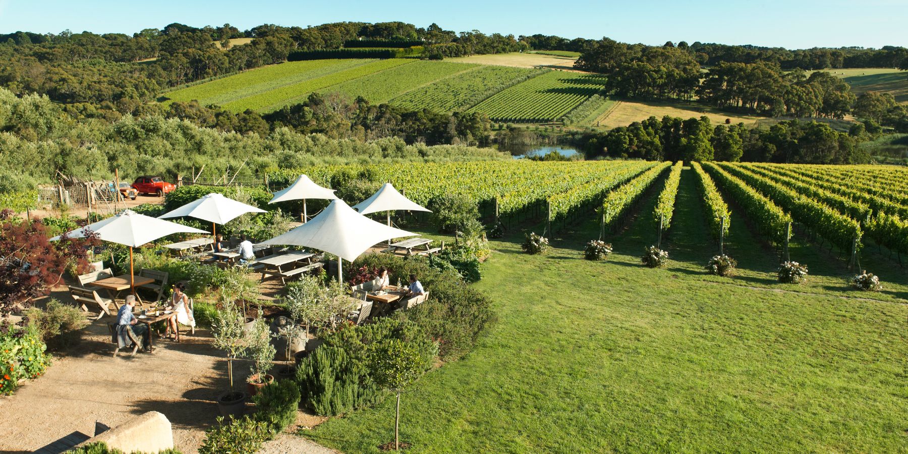 Montalto Red Hill Mornington Peninsula Eat and Drink