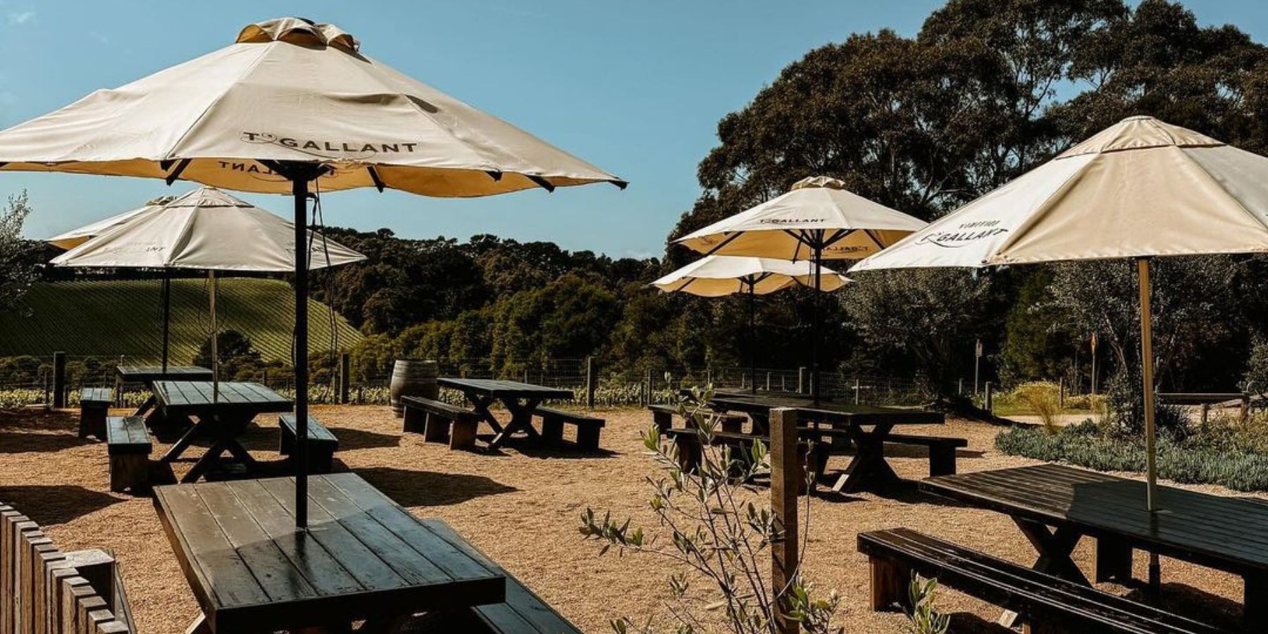 T'Gallant Winery Red Hill Things To Do Mornington Peninsula Casual Winery