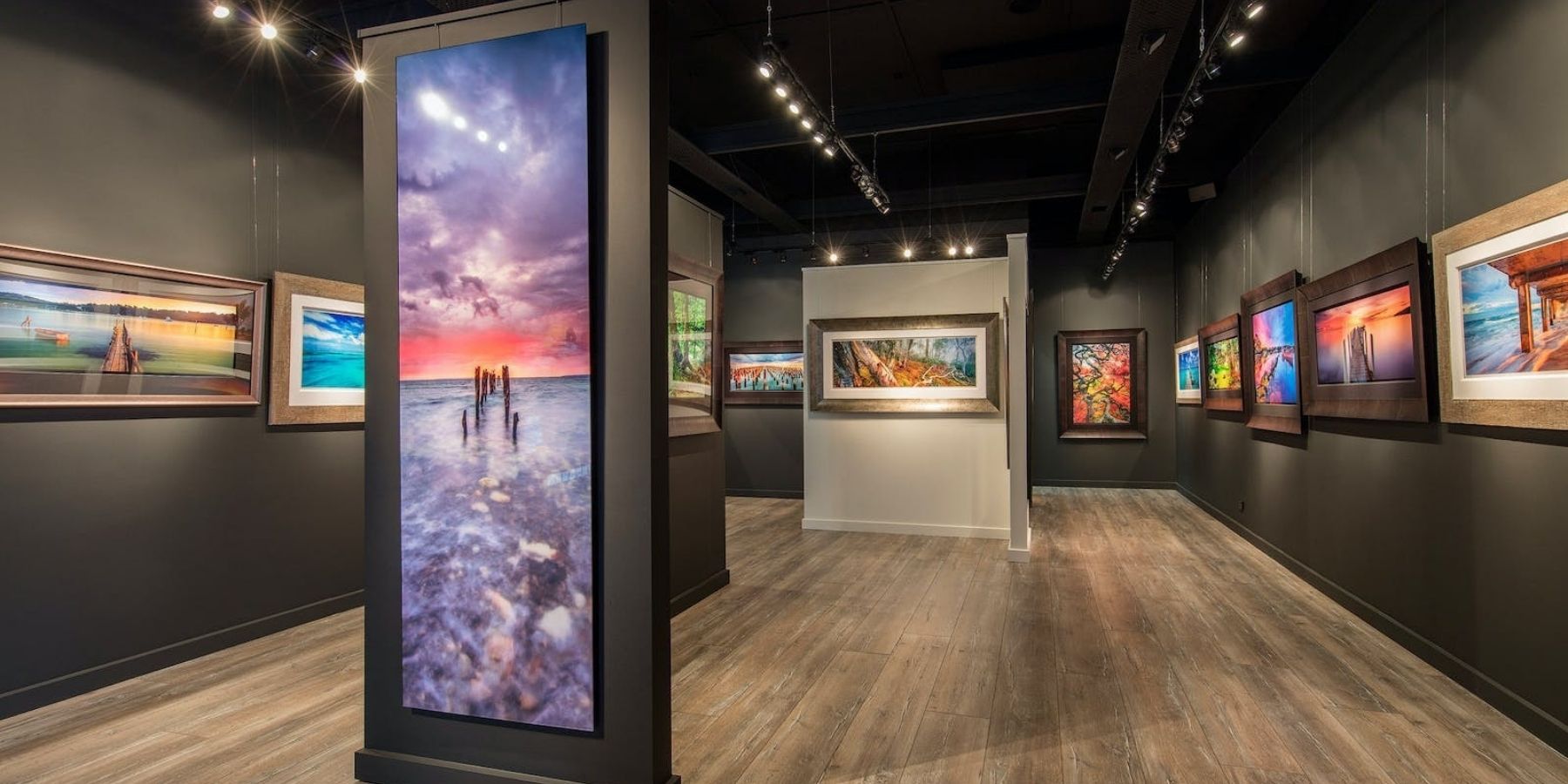 Mark Gray Gallery Mornington Peninsula 